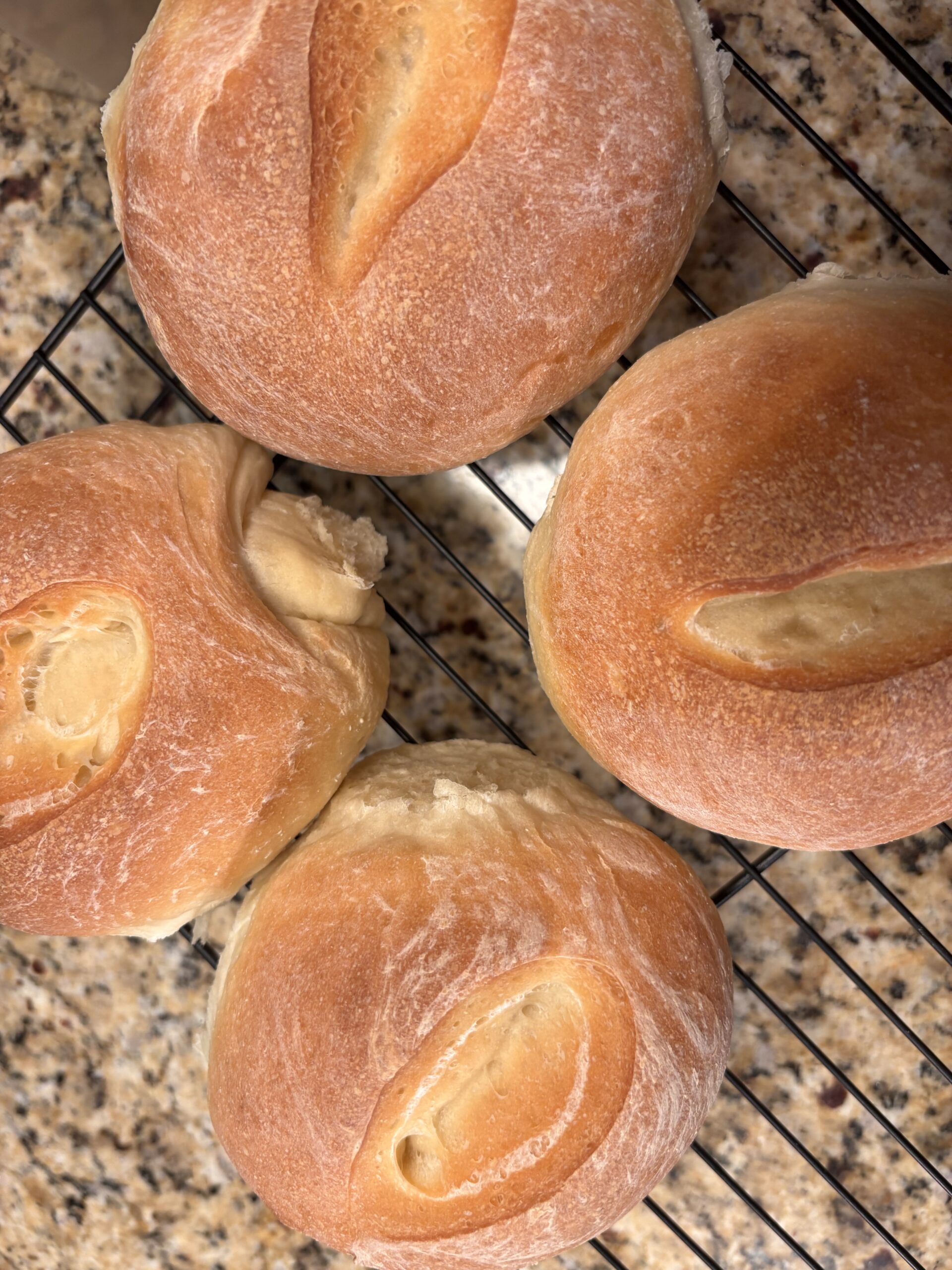 Homemade Italian semolina sandwich rolls